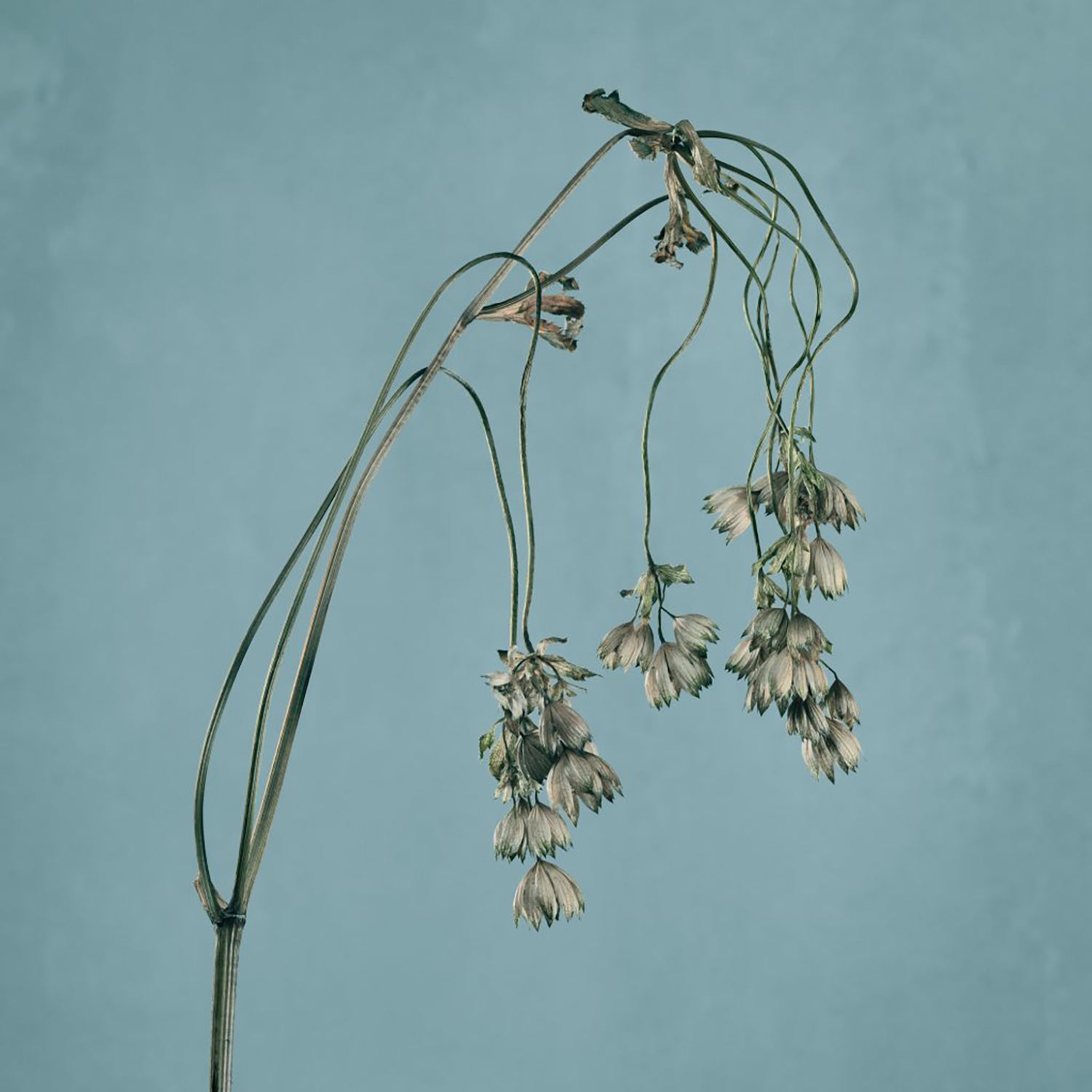 Fatigue 26 Photograph by Michael Frank