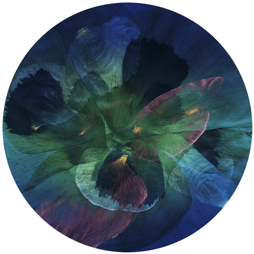 Blue by Michelle Elwell