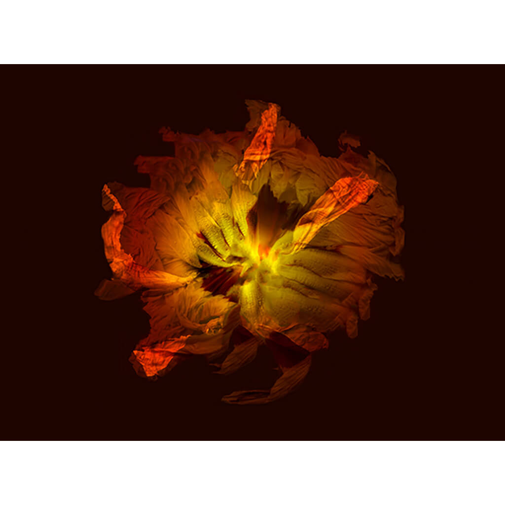 Oiseau Bleu III by Michelle Elwell