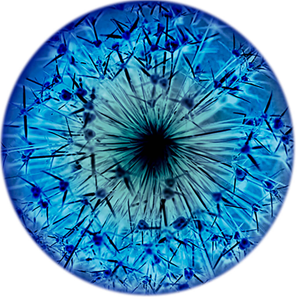 Star of Persia by Michelle Elwell