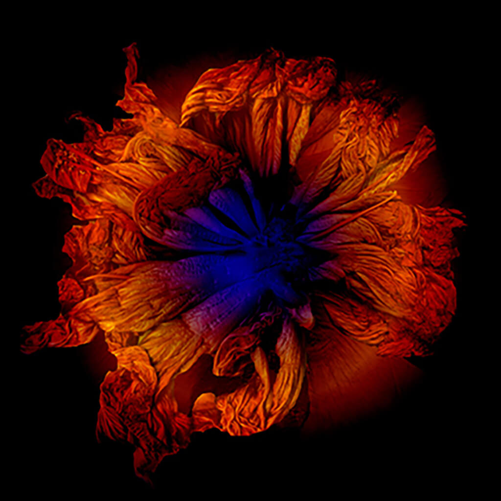 Reverie by Michelle Elwell