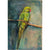 Parakeet original acrylic and pastel mixed media artwork of a green parakeet bird by London artist Sarita Keeler