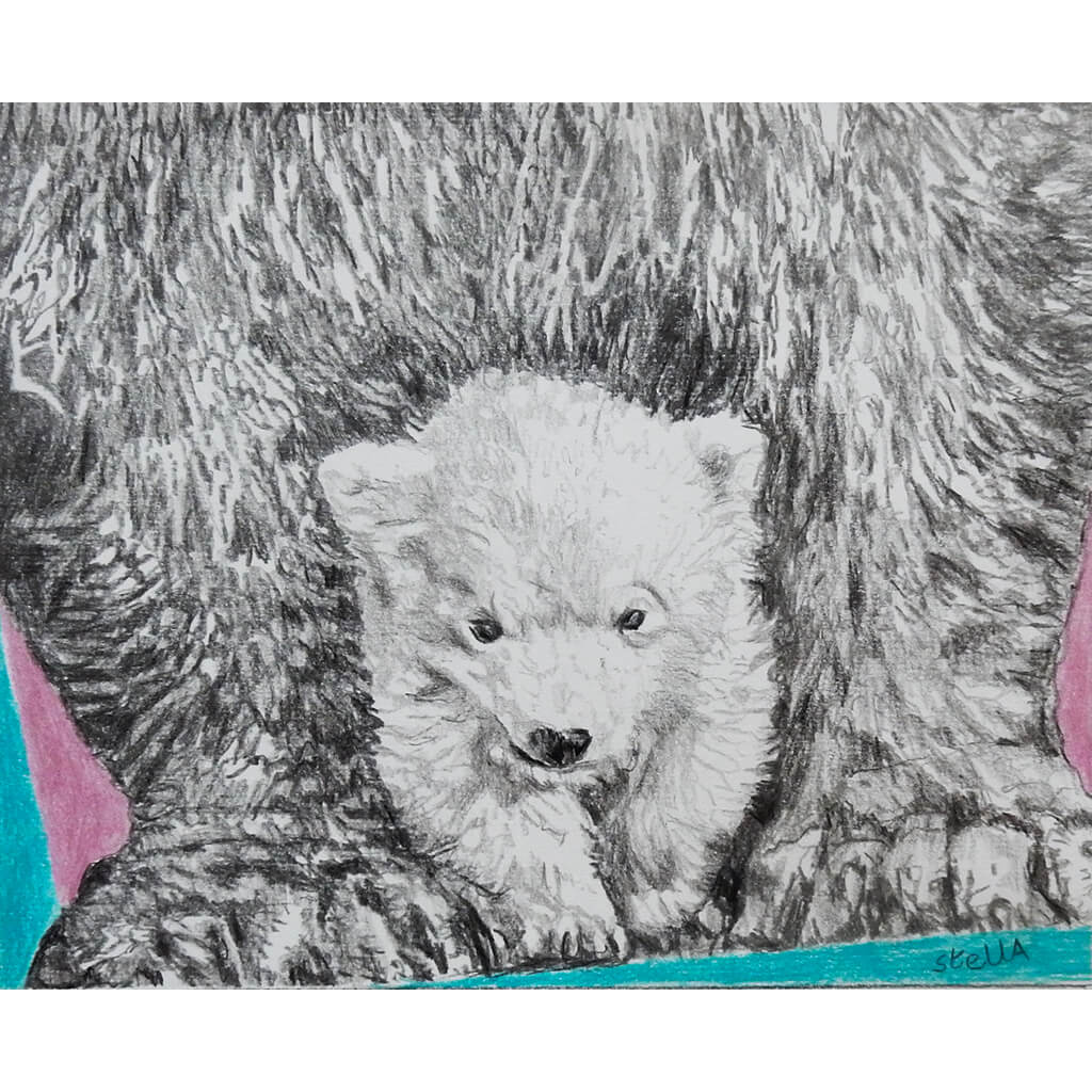 Polar bears original drawing by Stella Tooth artist full