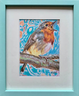 Robin Redbreast bird drawing by Stella Tooth London Artist Wall
