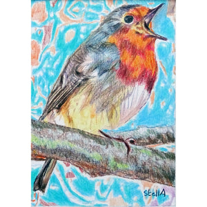 Robin Redbreast bird drawing by Stella Tooth London Artist full