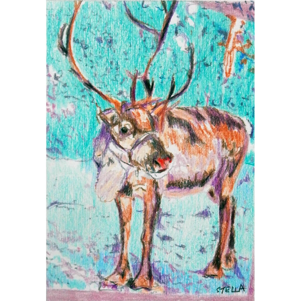 Rudolph Reindeer original pencil drawing by artist Stella Tooth full