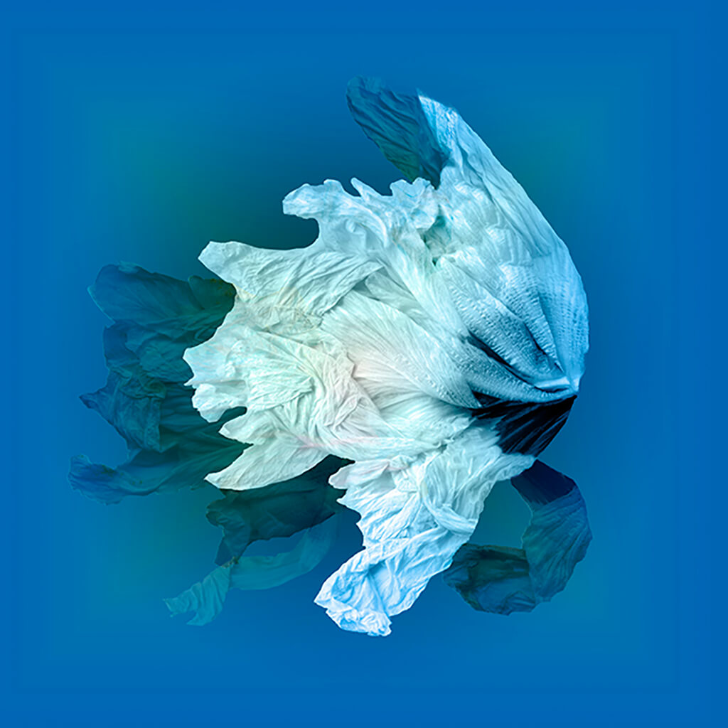 Serenity III by Michelle Elwell