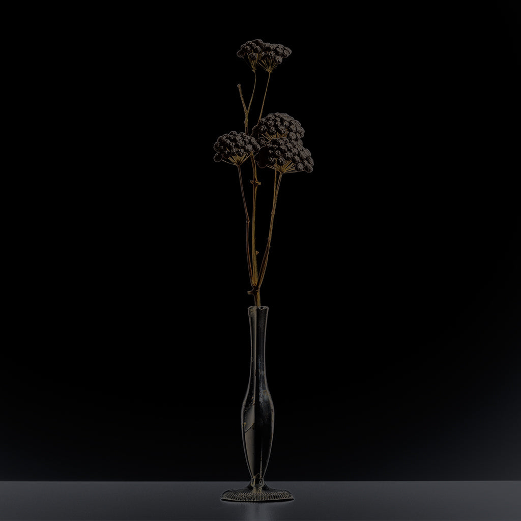 Filigrana 03 digital manipulation rayograph by Michael Frank