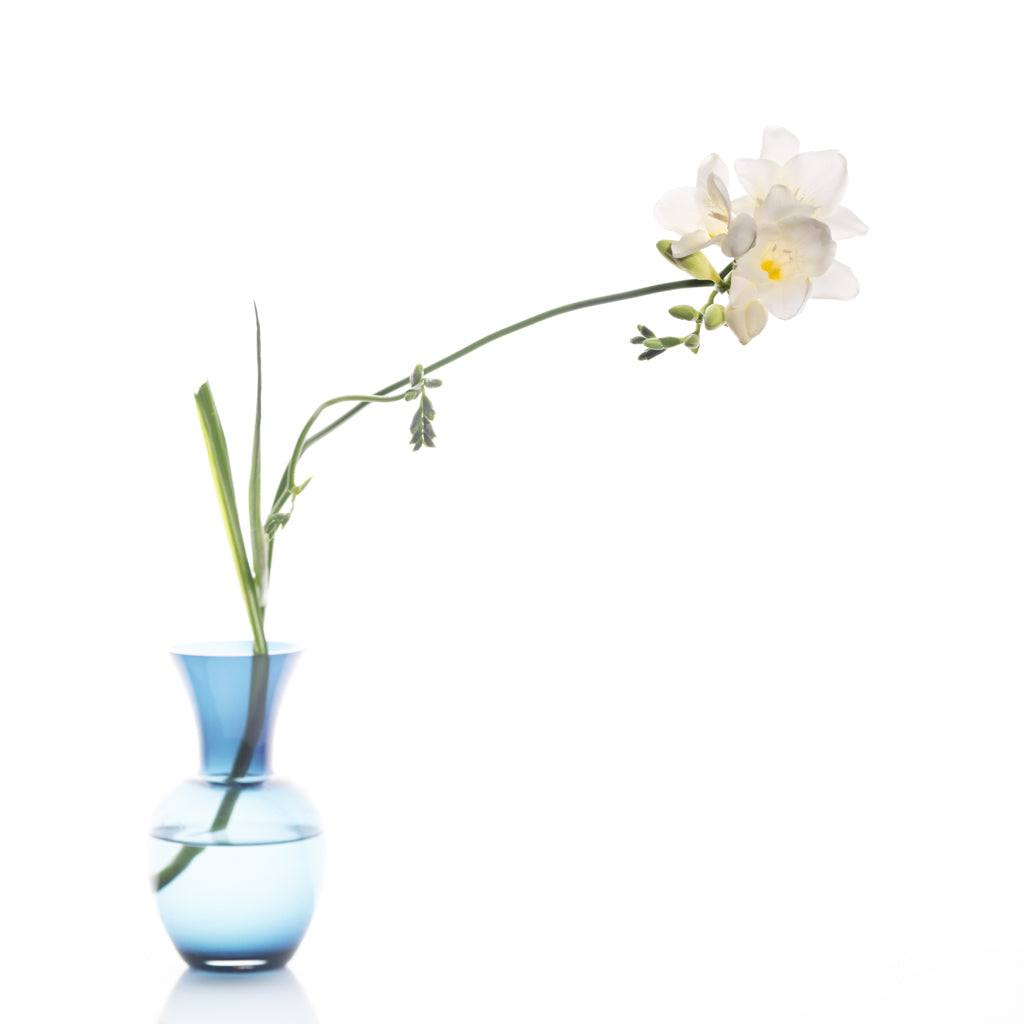 Frisia photograph by Michael Frank