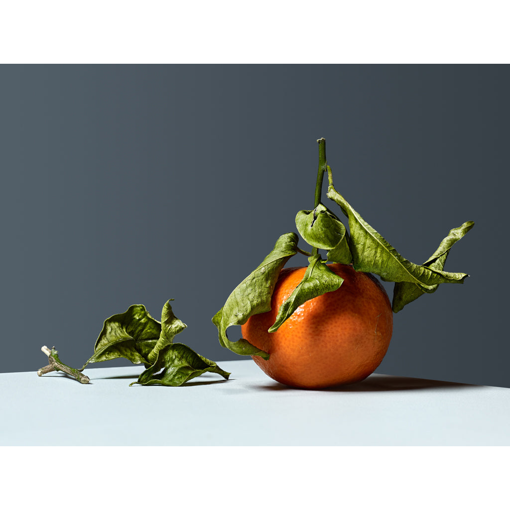 Tangerine photograph by Michael Frank.