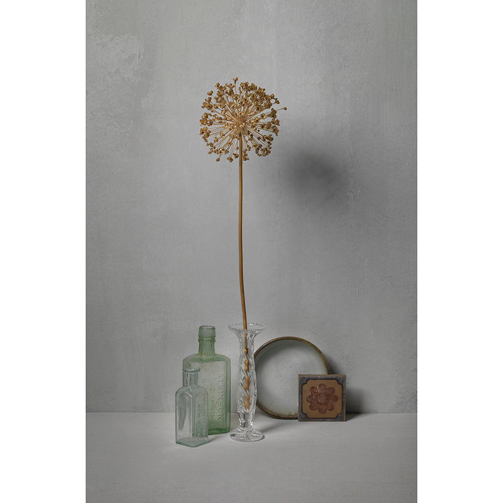 White 07 Still Life Photograph by Michael Frank