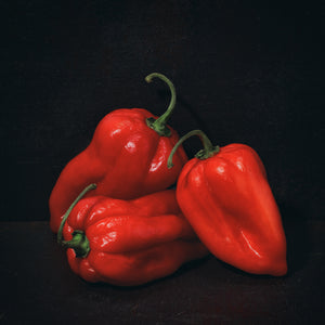 Dutch Masters 07 3 red peppers still life by Michael Frank