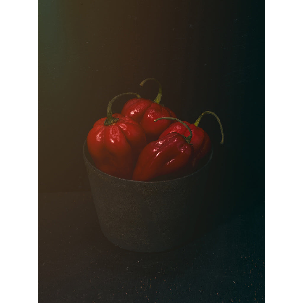 Dutch Masters 08 bucket with 4 red peppers by Michael Frank