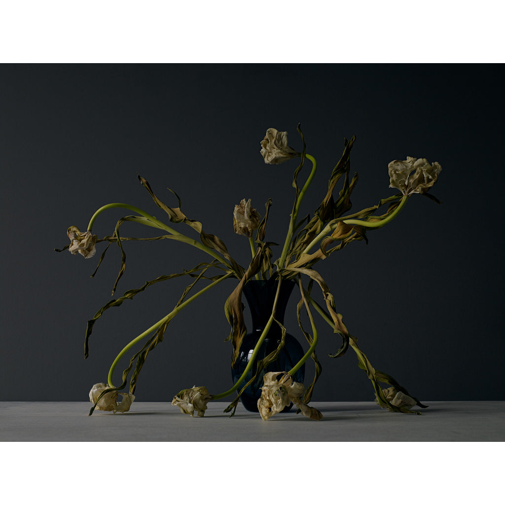 Dutch Masters 22 spent tulips in vase photograph by Michael Frank